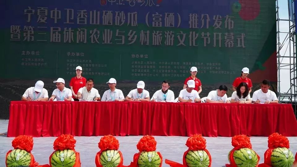 中卫富硒硒砂瓜