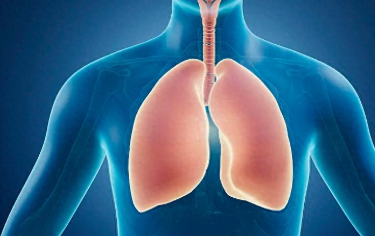 硒产品哪种最好