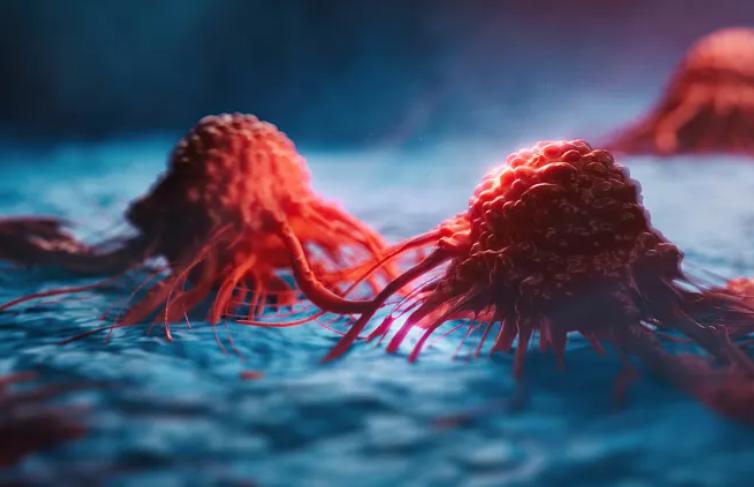 硒产品哪种最好