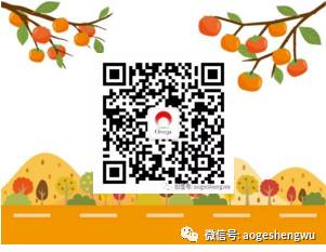 硒标法是几代