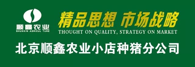硒标法是几代