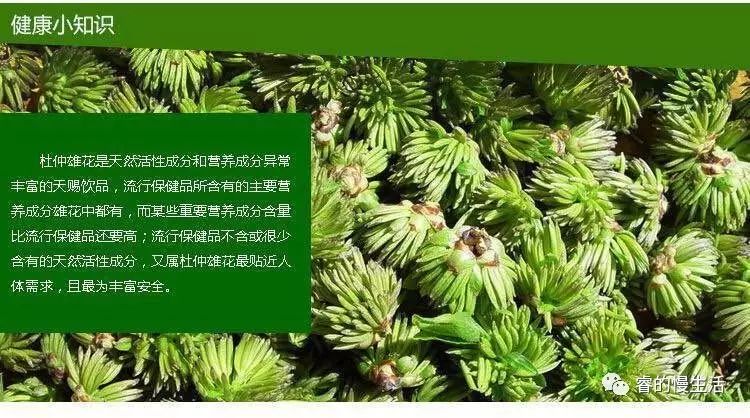 含硒的茶叶有哪几种