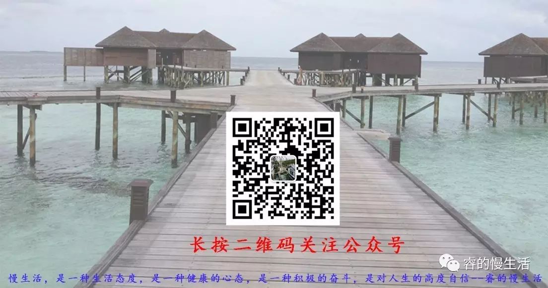 含硒的茶叶有哪几种