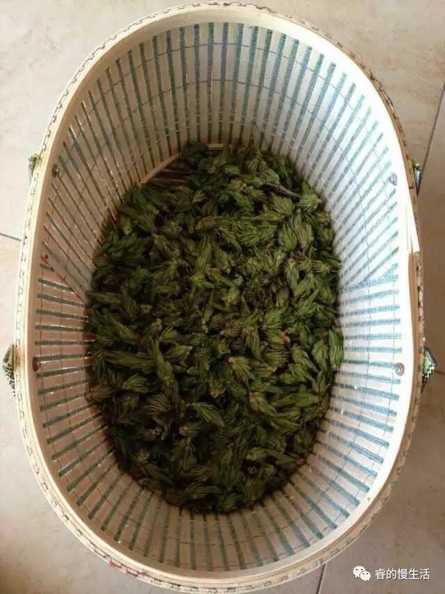 含硒的茶叶有哪几种