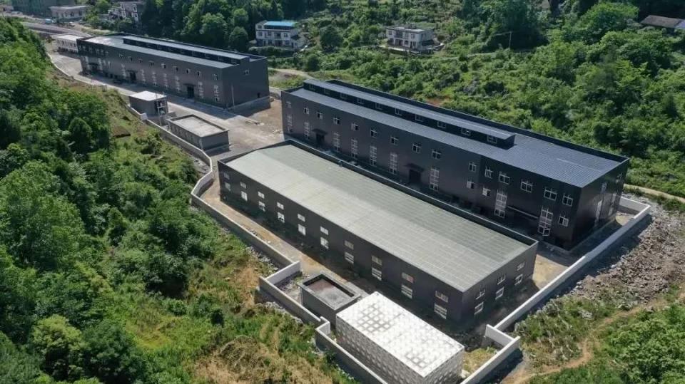 亿来健硒黑茶(黑茶硒元素含量与其他茶叶)-硒宝网