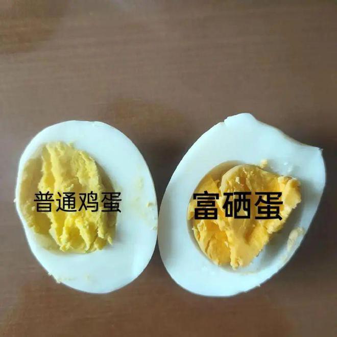 土鸡蛋和富硒鸡蛋哪种好