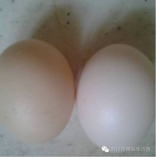 富硒土鸡蛋和普通鸡蛋的区别