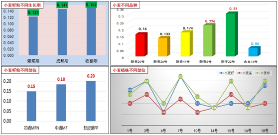 富硒小麦标准