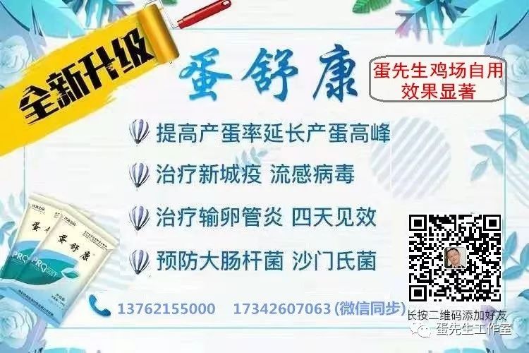 富硒无抗鸡蛋是真的吗