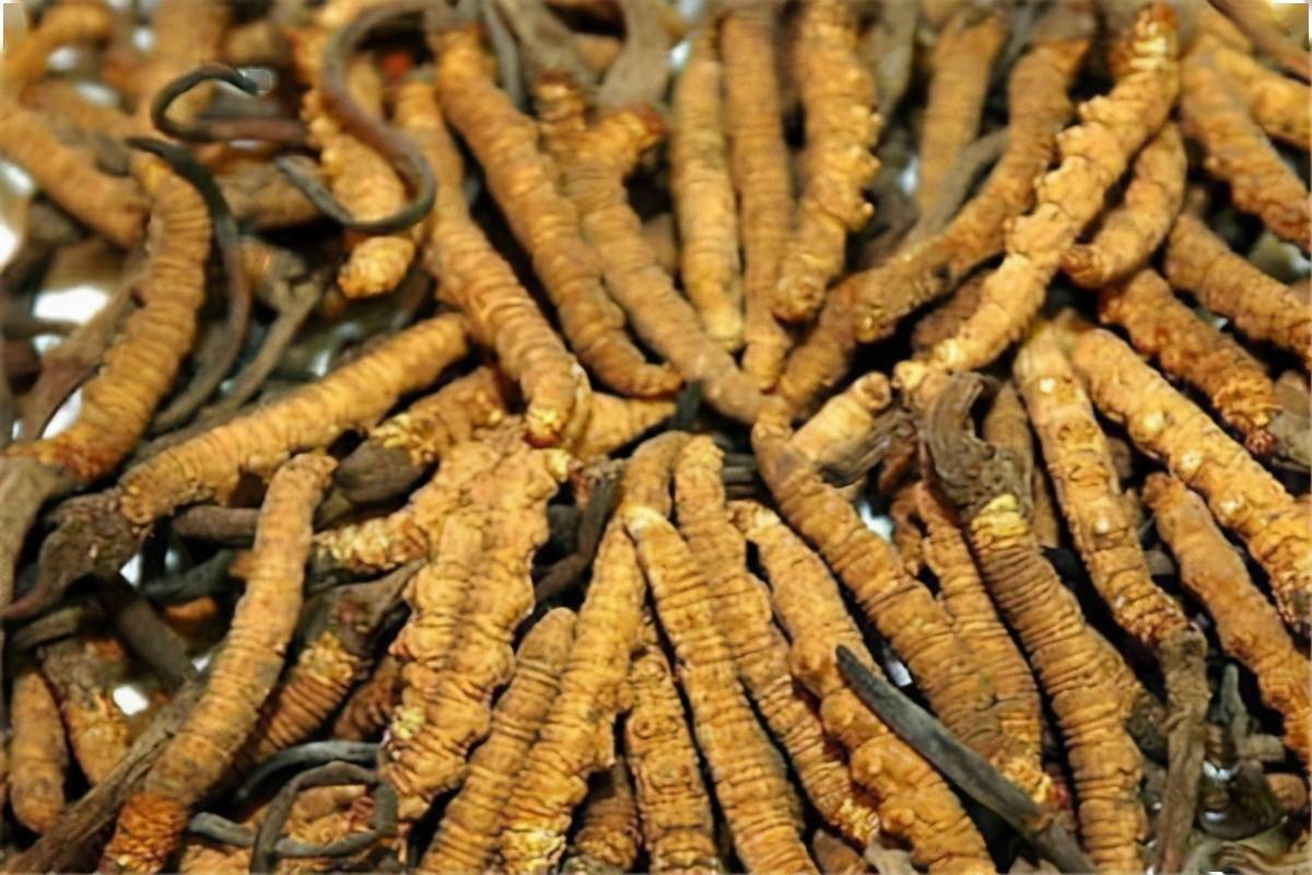 什么是富硒虫草肽