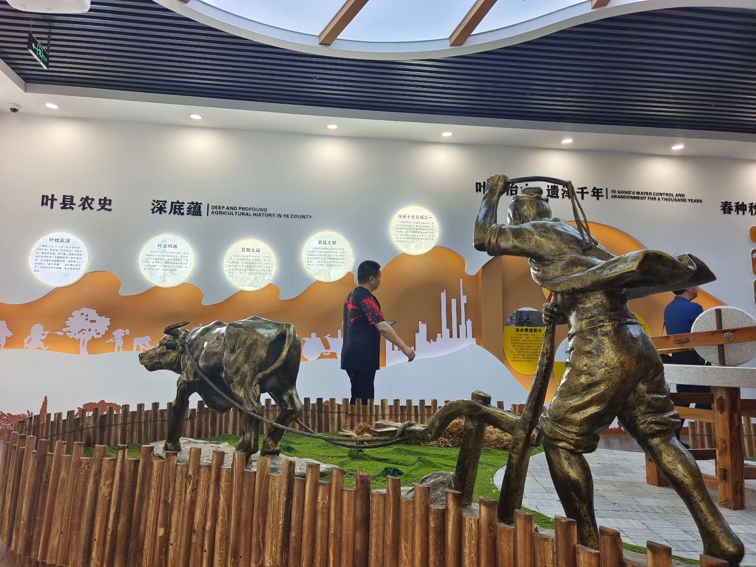 硒有什么功能