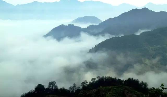 富硒第一村大山村