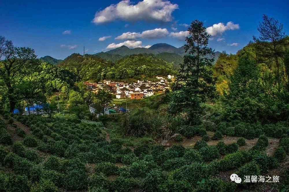 富硒第一村大山村