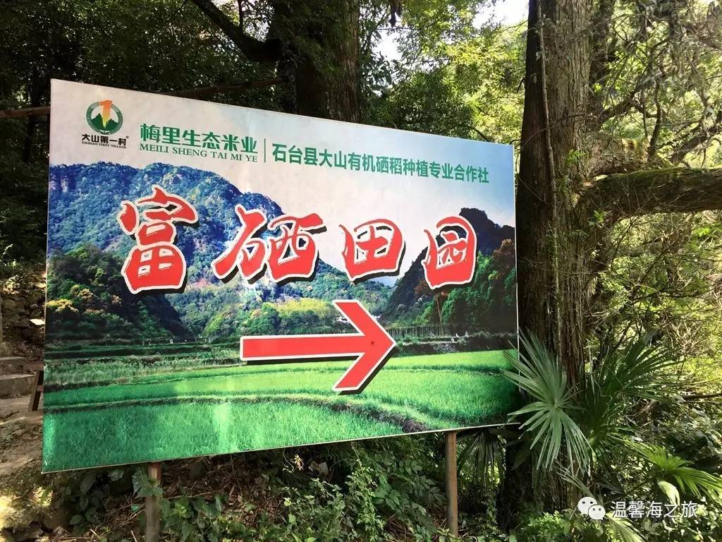 富硒第一村大山村