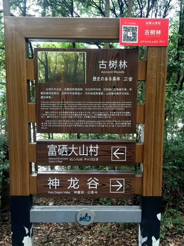 富硒第一村大山村