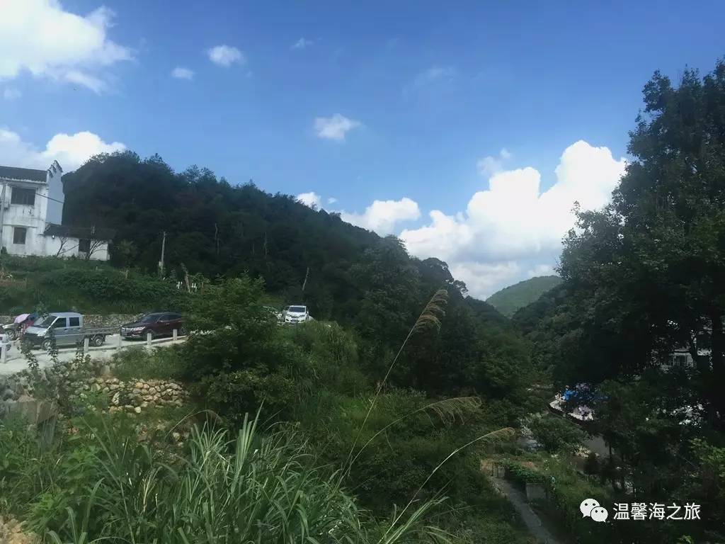 富硒第一村大山村