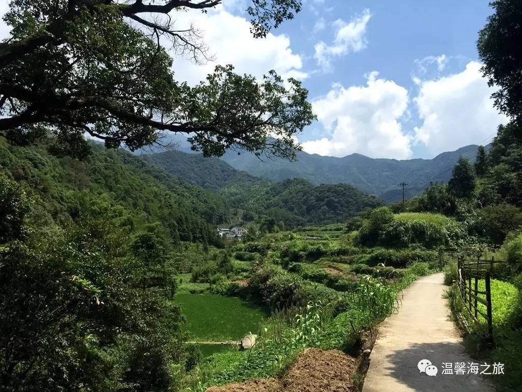 富硒第一村大山村