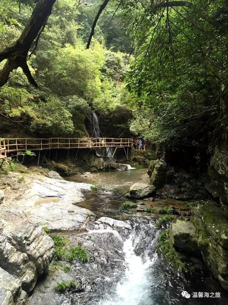 富硒第一村大山村