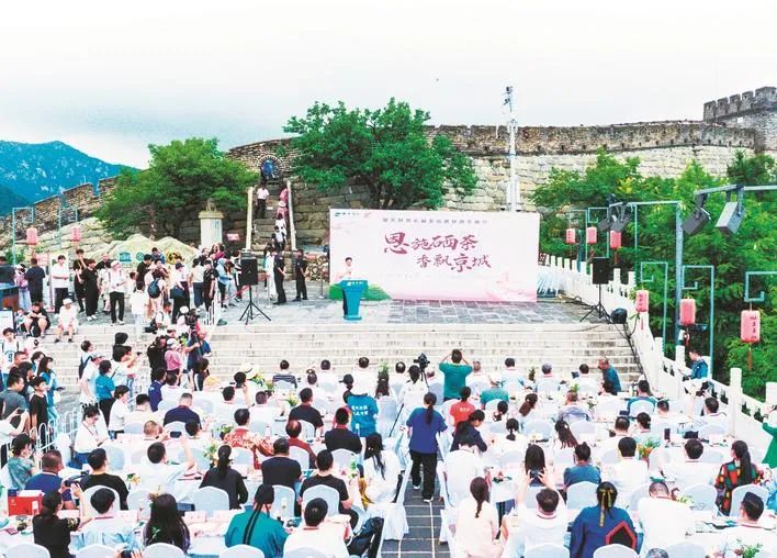 恩施硒茶功效(恩施硒茶的功效)-硒宝网