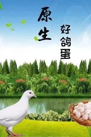 富硒鸡蛋营养价值
