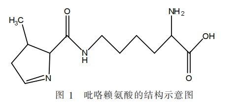 硒参与哪种酶的构成