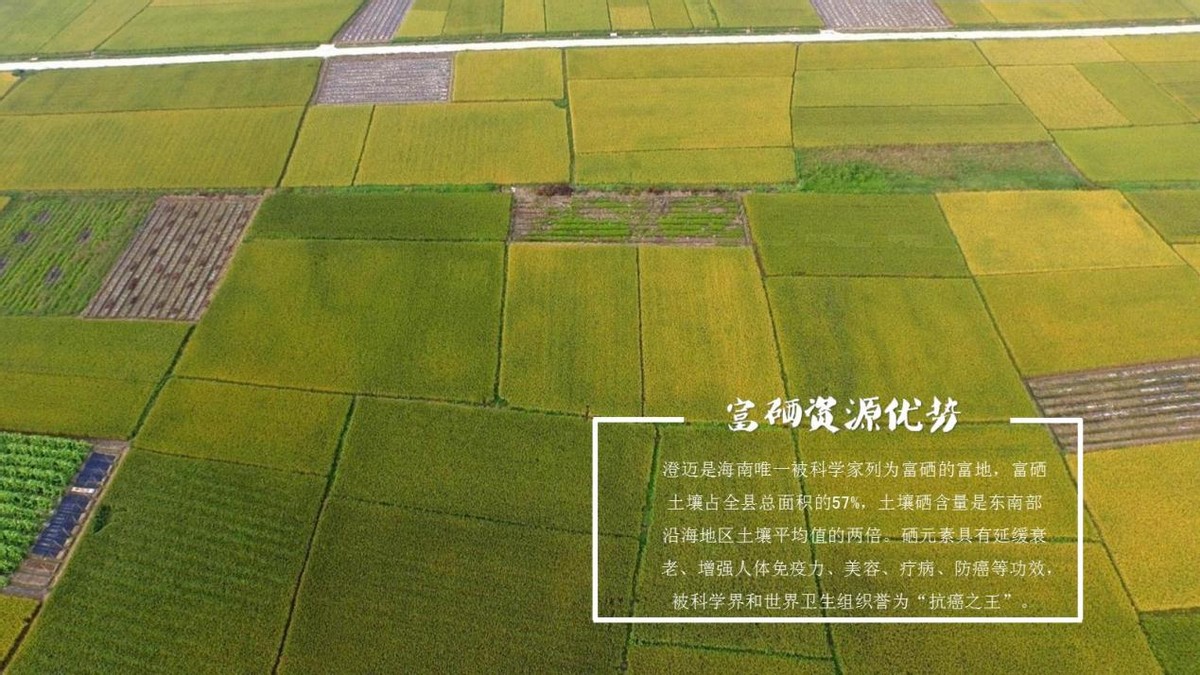 富硒地方有哪些(富硒是在哪里)-硒宝网