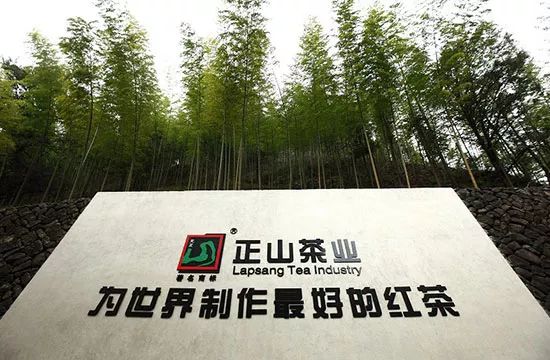 含硒第一名的茶