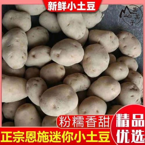 富硒土豆价格