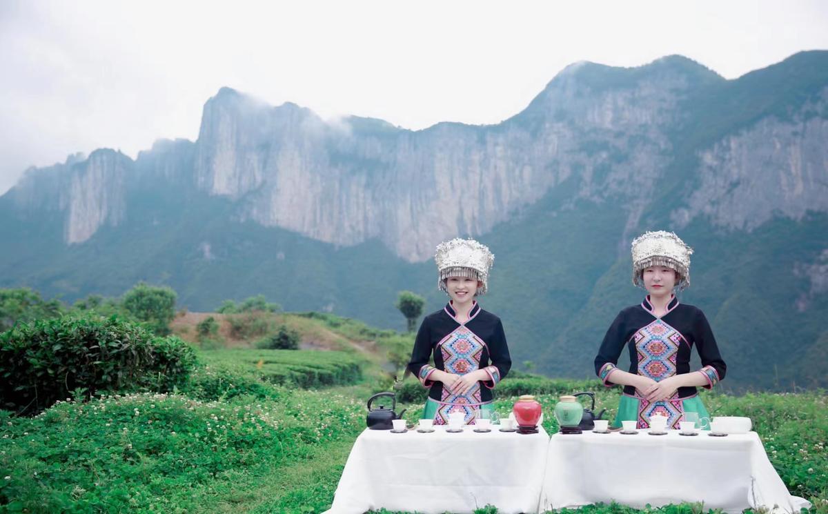 十株茶恩施硒茶