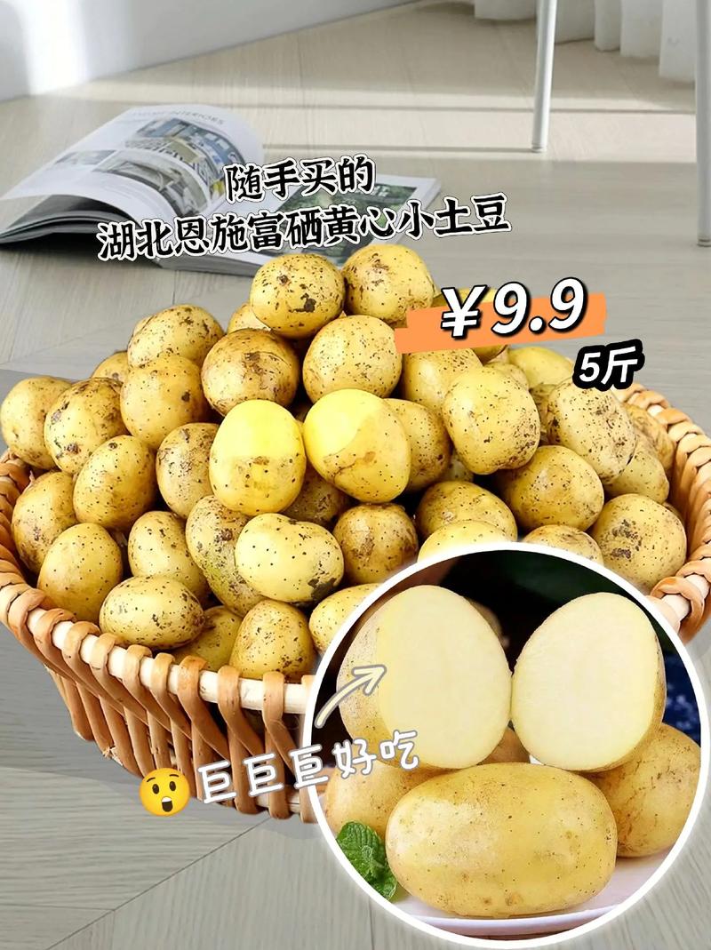 富硒土豆价格