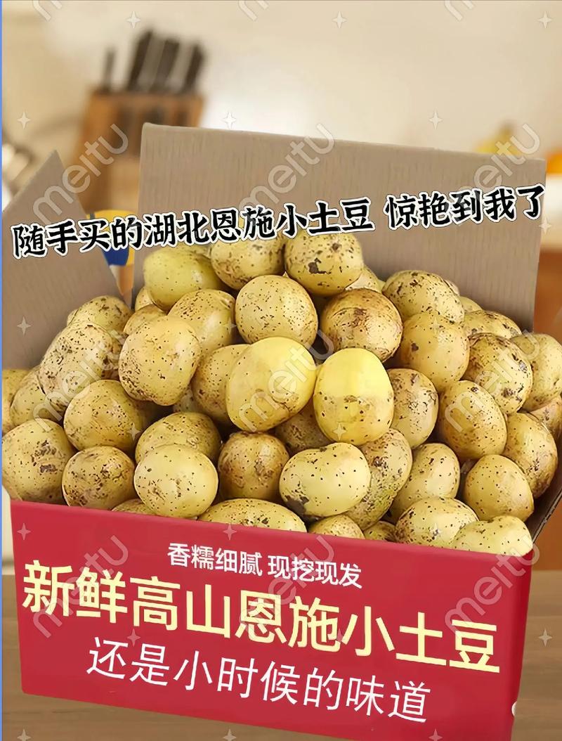 富硒土豆价格