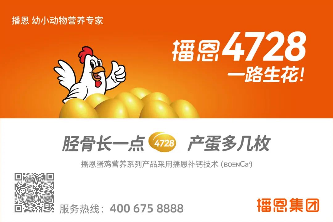 富硒鸡蛋是什么蛋(富硒鸡蛋比普通鸡蛋好吗)-硒宝网