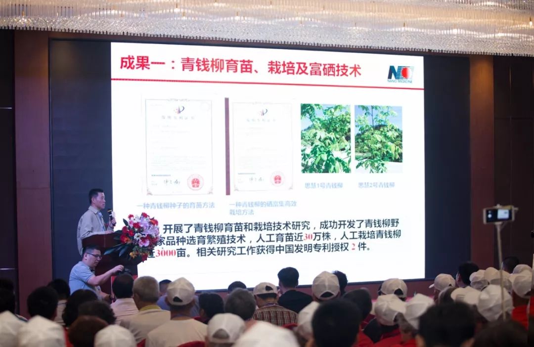 恩施富硒食品都有哪些
