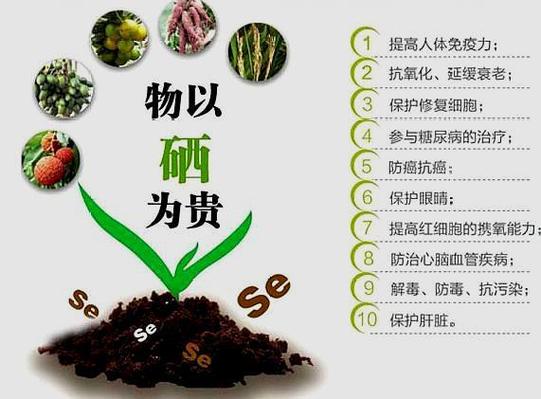 富硒有机肥的硒含量标准是多少