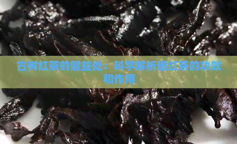 古树红茶的健益处：科学解析晒红茶的功效和作用