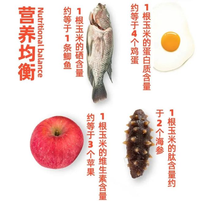 富硒玉米好吗