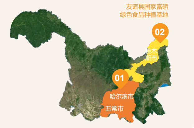 富硒玉米好吗