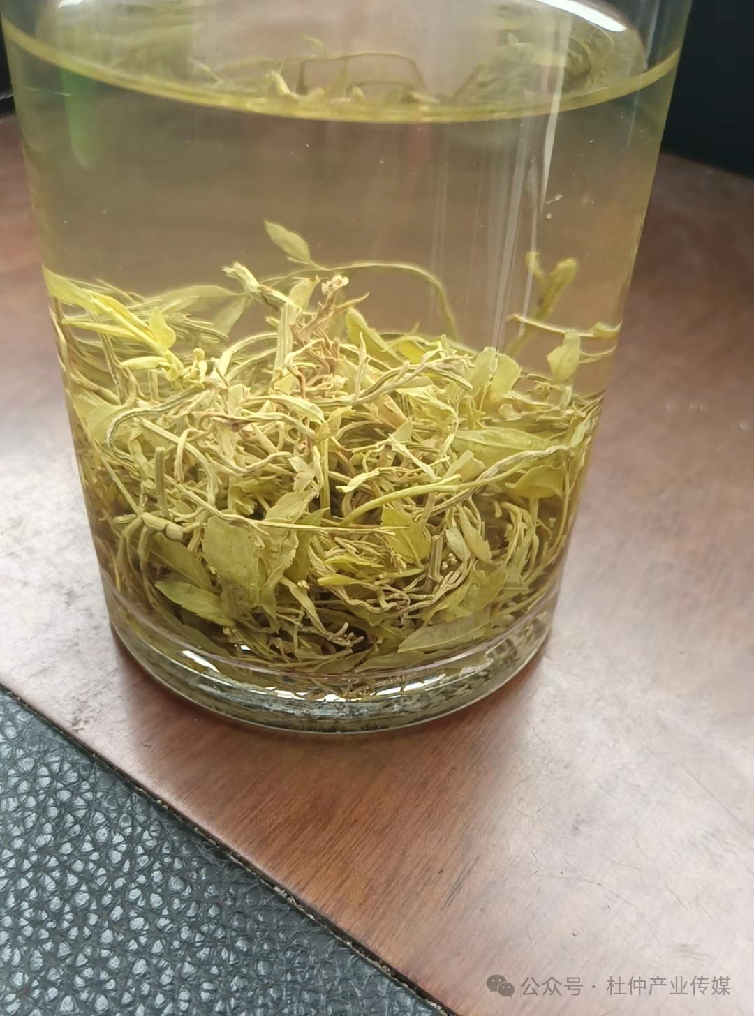 藤茶属于什么茶