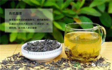 藤茶有什么功效