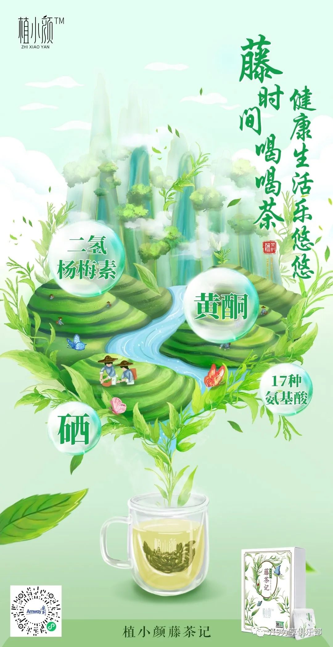 藤茶有什么功效