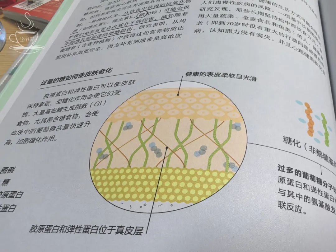 如何给家人补硒(补硒能起到什么作用)-硒宝网