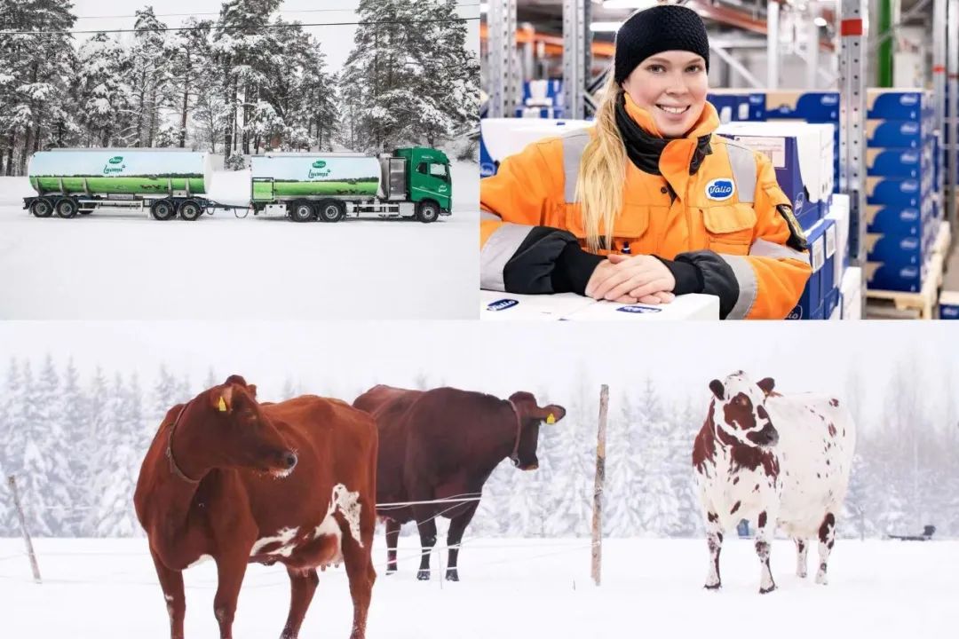 如何给家人补硒(补硒能起到什么作用)-硒宝网