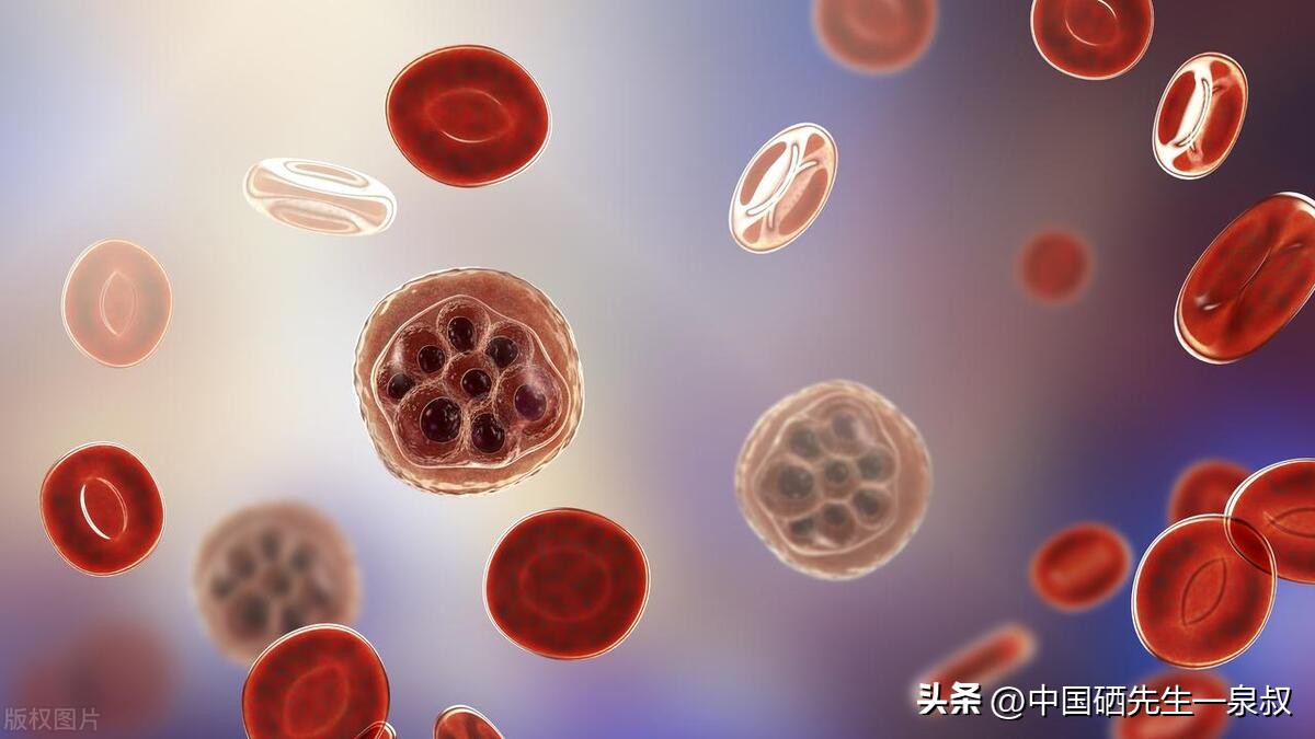 最新补硒制剂是