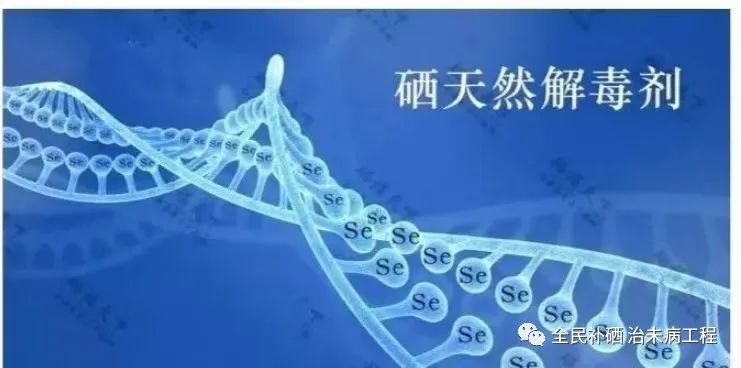 人体补硒标准