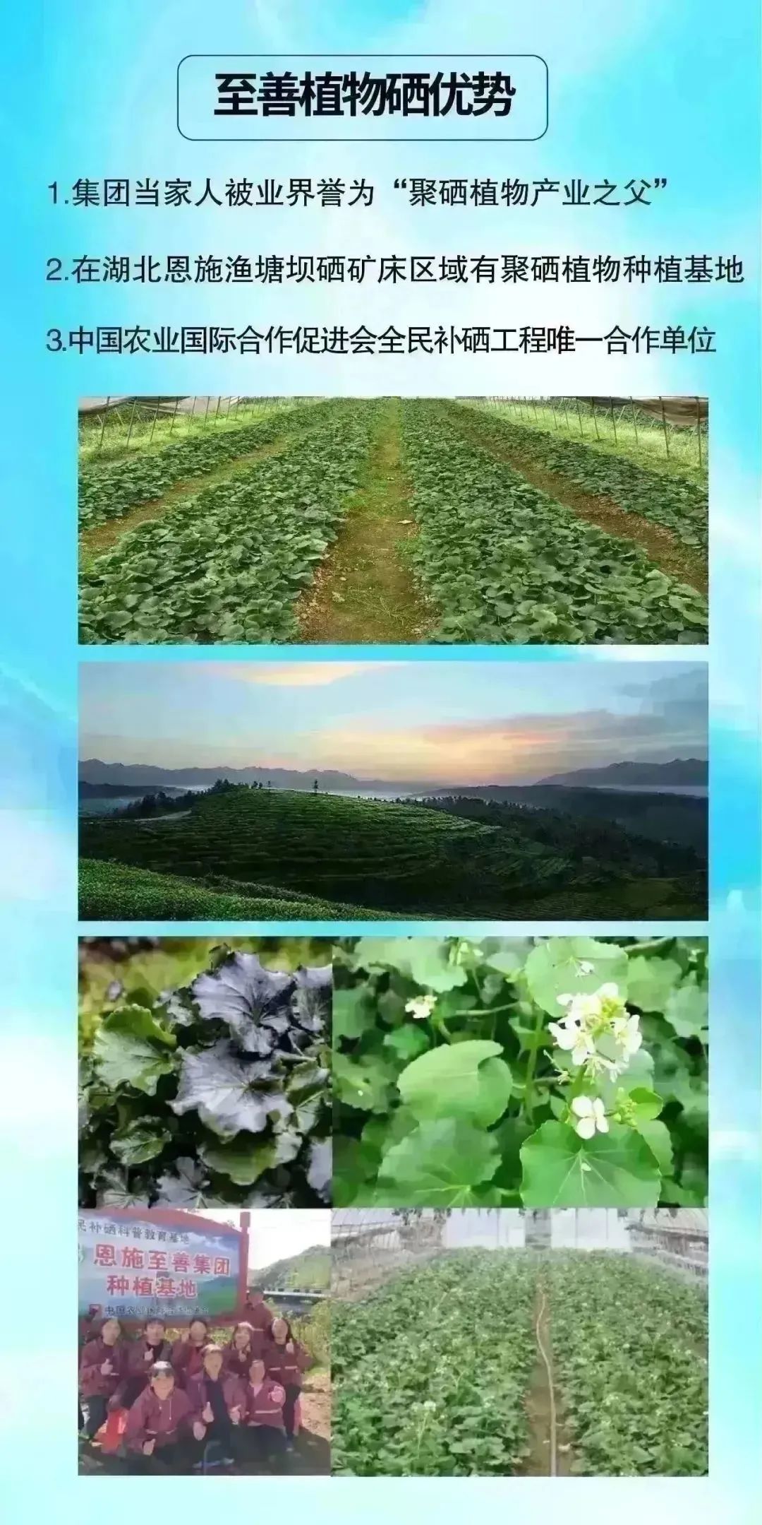 女性补硒能促进怀孕