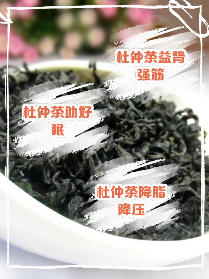 杜仲茶叶的功效