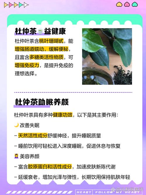 杜仲茶叶的功效