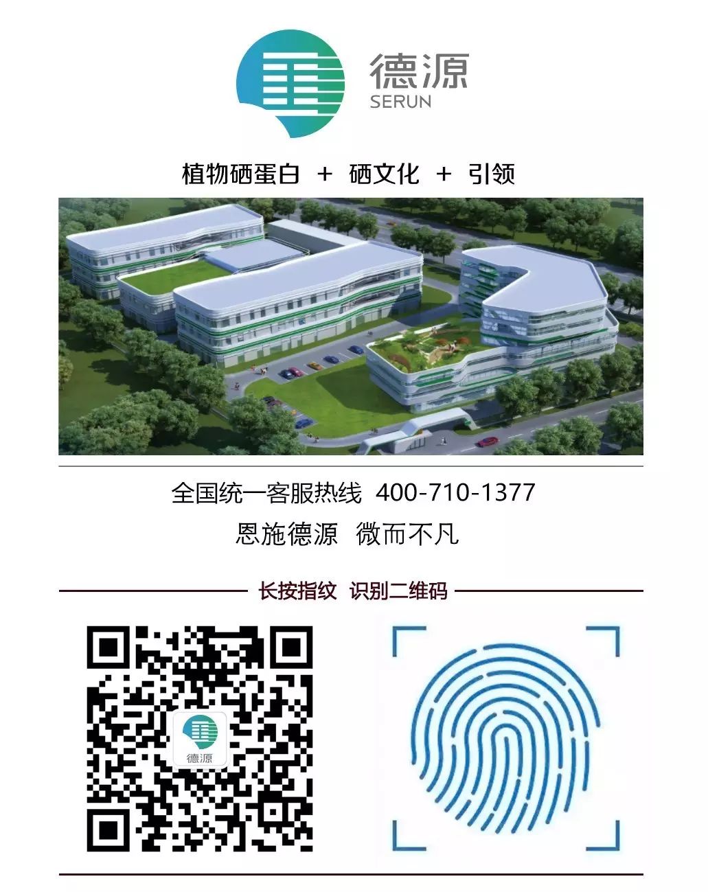 补硒十大排行榜