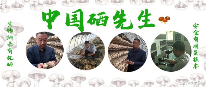 补硒哪种硒最好