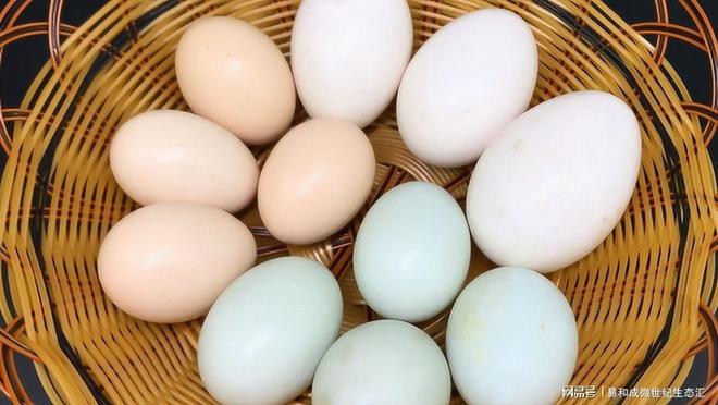 每天补硒多少毫克